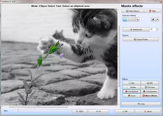 Easy to use Photo Editing Software